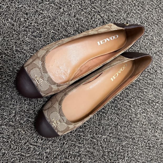 COACH 코치 시그니처 플랫슈즈 여성 240