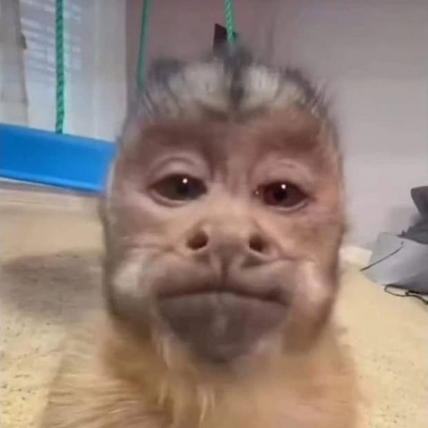 개인결제