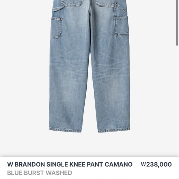 칼하트 brandon single knee pants camano