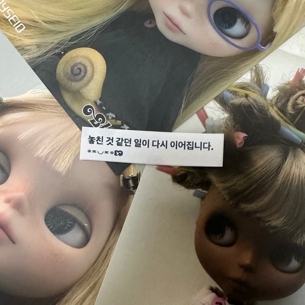 코이세이오 브라이스 엽서