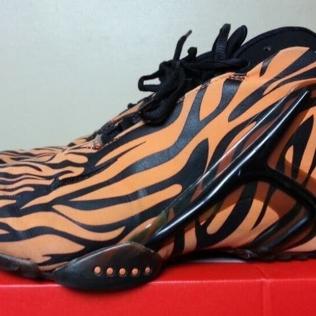 나이키 줌 하이퍼 플라이트 타이거 265