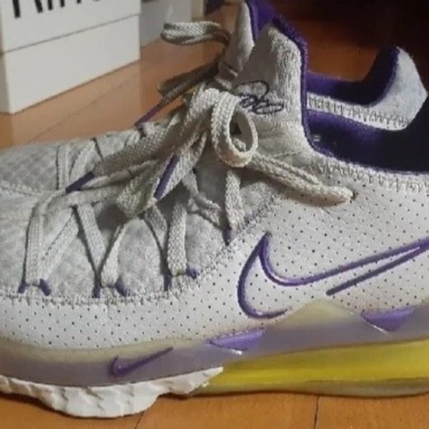 나이키 르브론17 로우 레이커스 290