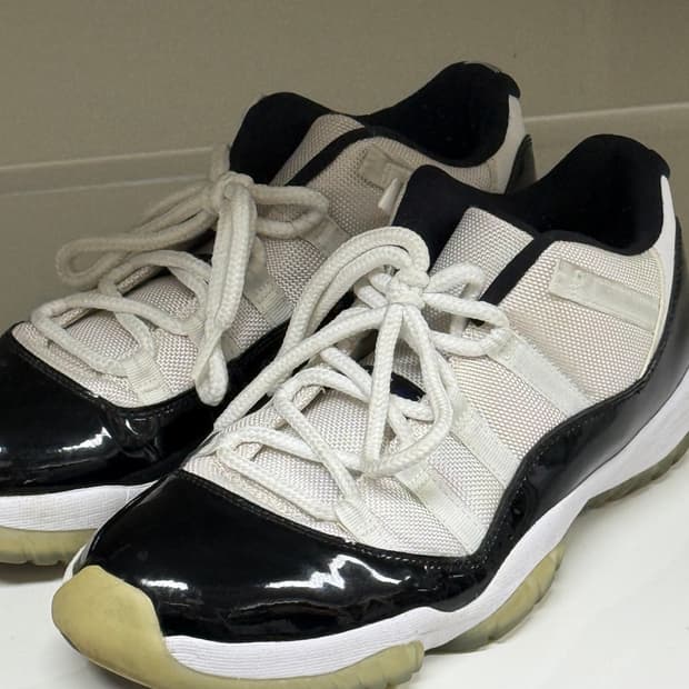 280 / 조던11 콩코드 로우 Jordan11 Concord Low