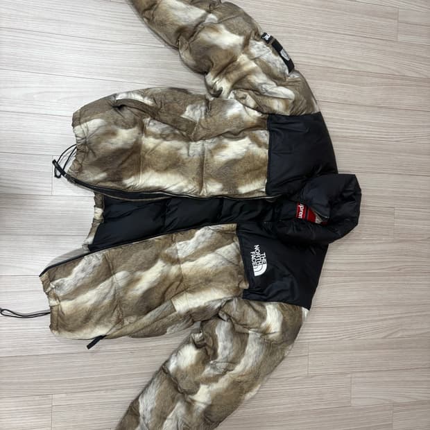 슈프림x노스페이스 눕시패딩