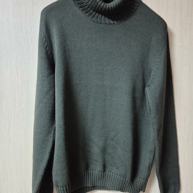 자노네 ZANONE  터틀넥 니트 스웨터 48 (95) 이태리