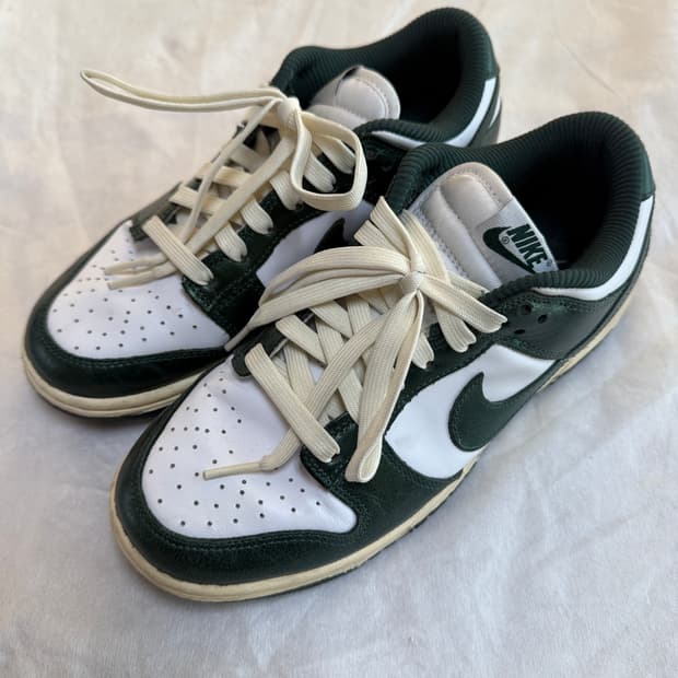 나이키 덩크 245