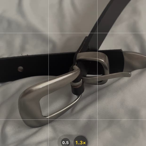 도프제이슨 웨스턴벨트 브라운