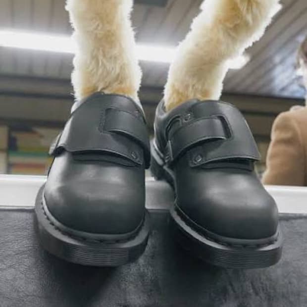 키코 코스타디노브 닥터마틴 더비