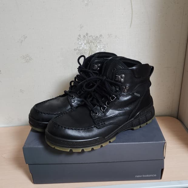 ECCO 고어텍스 트래킹화