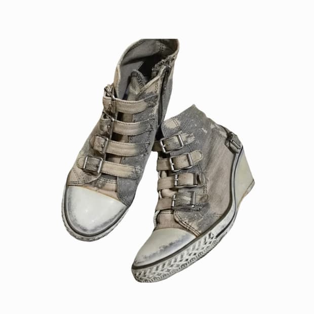 아쉬 ash 웨지힐 캔버스 230 