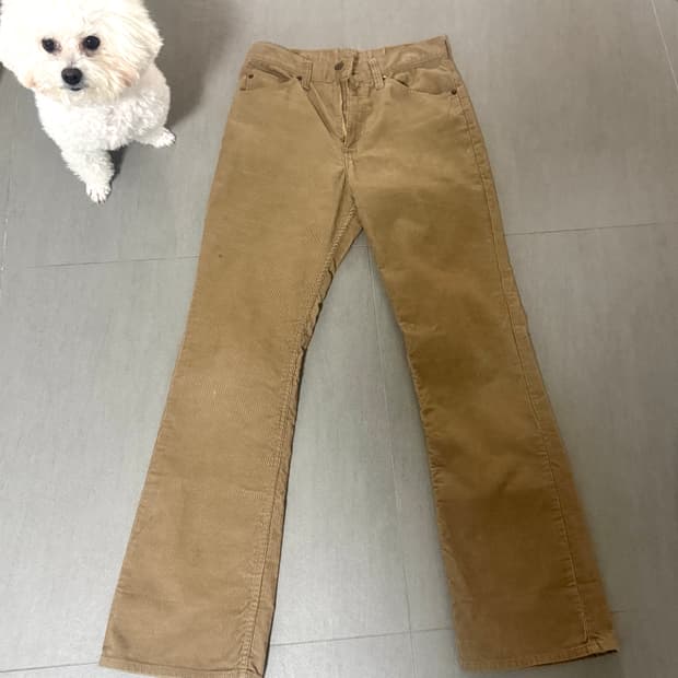 리바이스 517 코듀로이 부츠컷 팬츠 