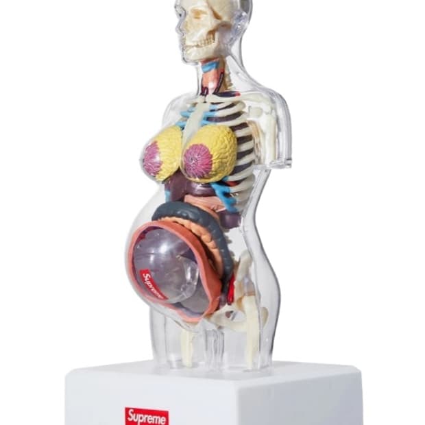 슈프림 피메일 아나토미 모델 클리어 - 18FW 