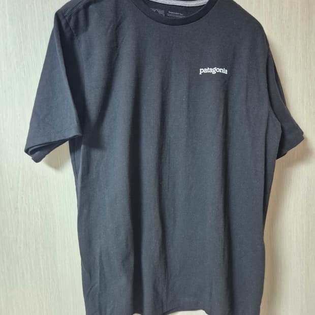 (정품) 파타고니아 티셔츠 반팔 M (22년)
