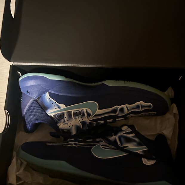 코비 5 프로트로 x-ray 판매 (275)