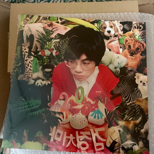 검정치마 (The Black Skirts) [레드 글리터 컬러 LP] 미