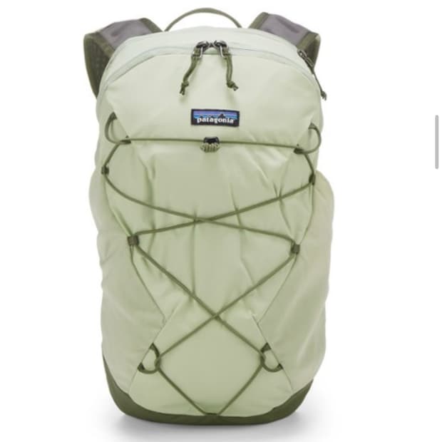 파타고니아 테라비아 백팩 14L