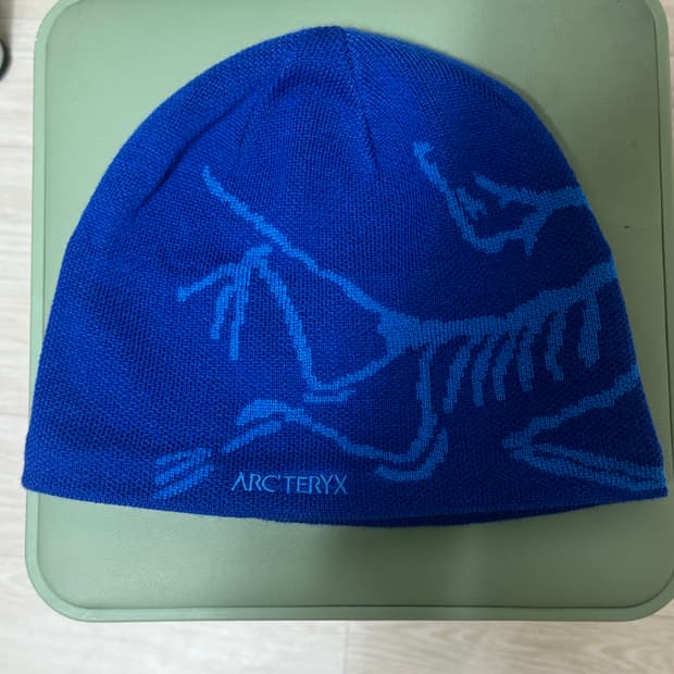 아크테릭스 버드 헤드 토크 비니 블루