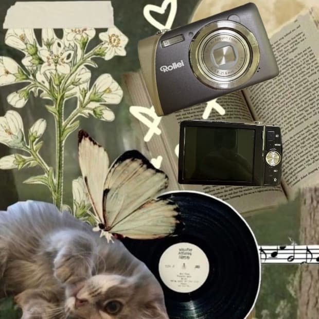 레어!!) Rollei flexline 140 롤라이 빈티지 디카