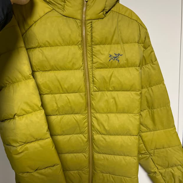 아크테릭스 토륨