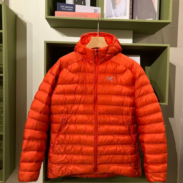 아크테릭스 세륨 후디 라지