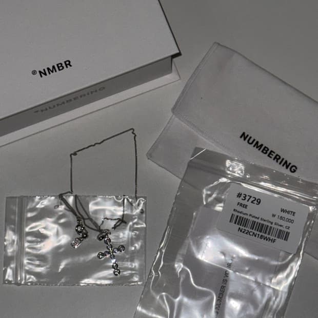 NUMBERING #3729 (silver)