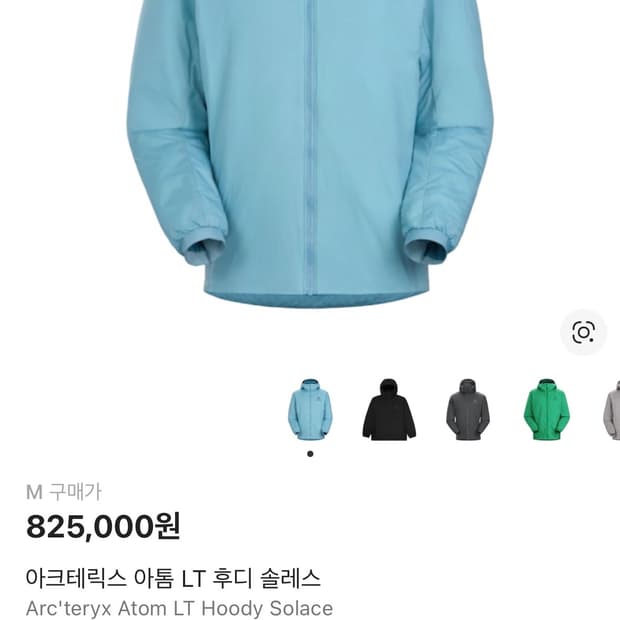 아크테릭스 아톰 LT 후디 솔레스