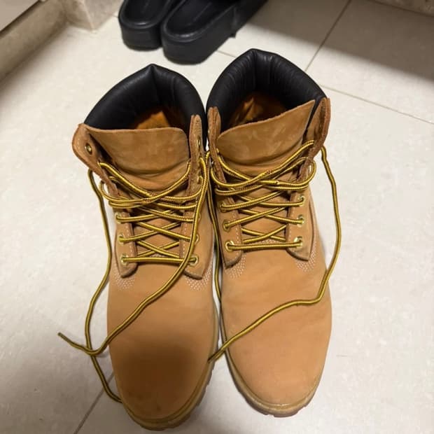 팀버랜드 6인치 프리미엄 270