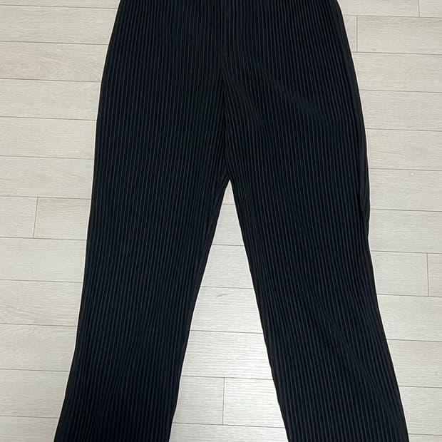 이세이미야케 팬츠 2 