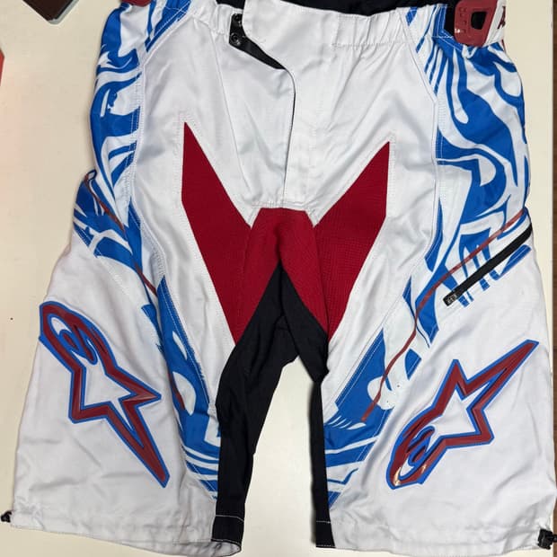 알파인스타 레이싱 쇼츠