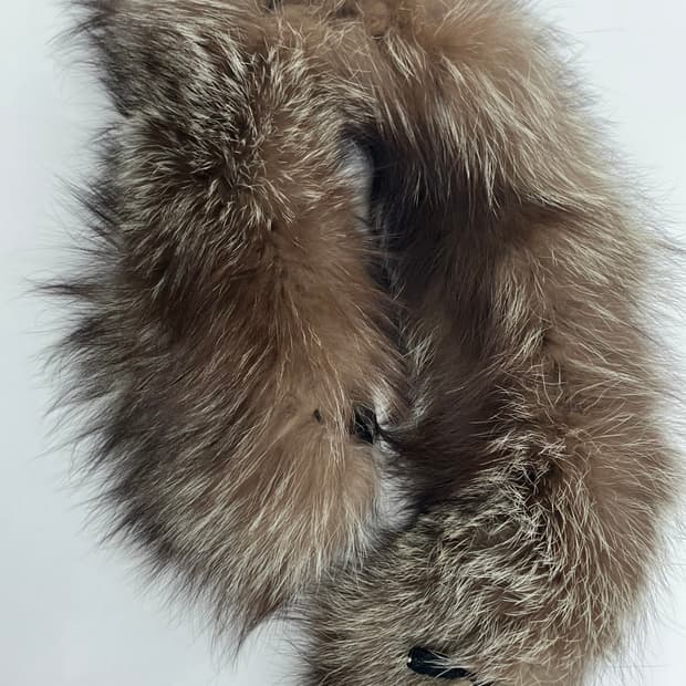폭스 퍼