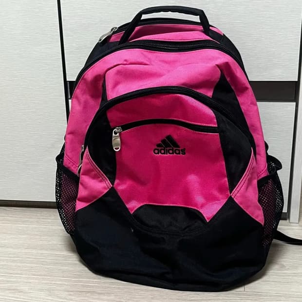 아디다스 올드스쿨 2000s 빈티지 핑크 백팩