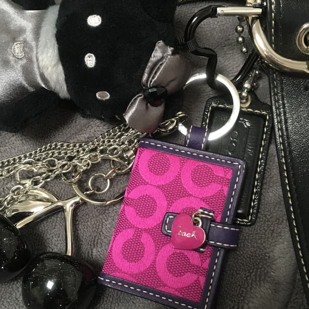 Coach frame pink keyring 