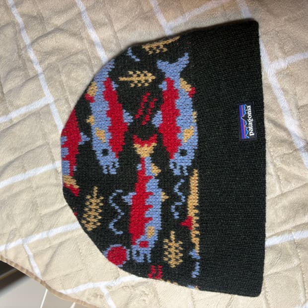 파타고니아 펀호그 비니