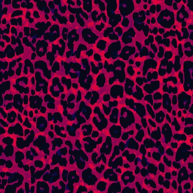 3.0 랜박 개인 결제창