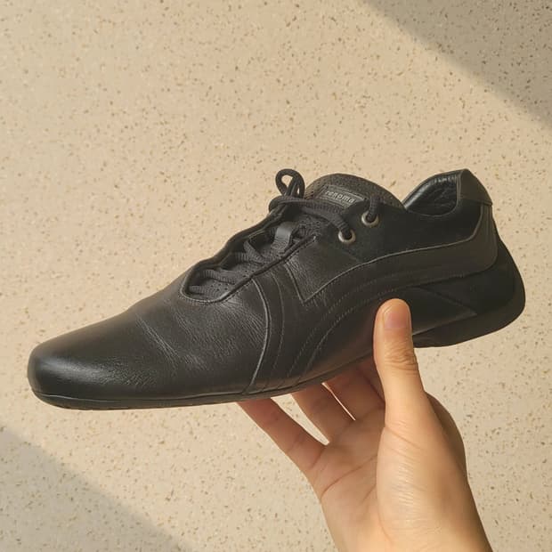 레노마 블랙 245