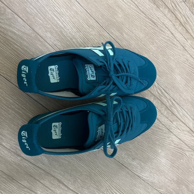 오니츠카타이거