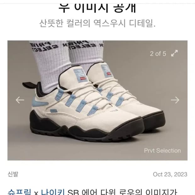 (245) 나이키 슈프림 SB 다윈 로우 화이트