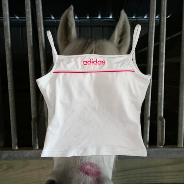Adidas pinky top