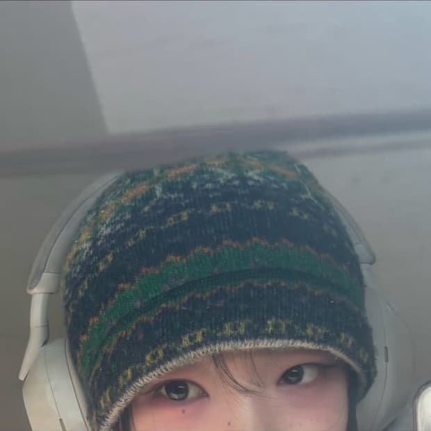 빈티지 페어 아일 비니