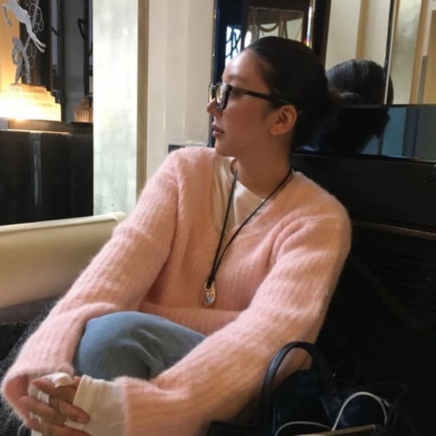 브리드(수리 알파니트)