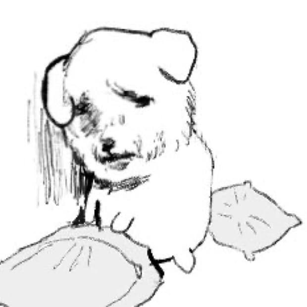 코닥 이지쉐어 c143 구해요