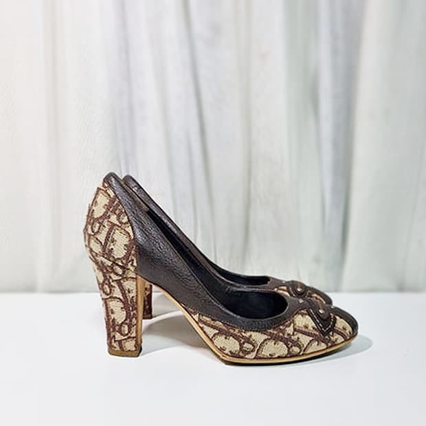 디올 펌프스 255