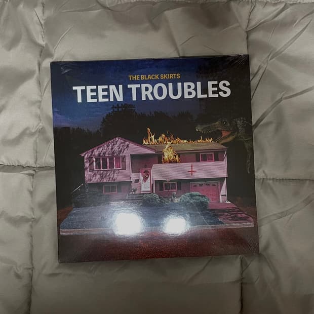 검정치마lp 틴트러블스