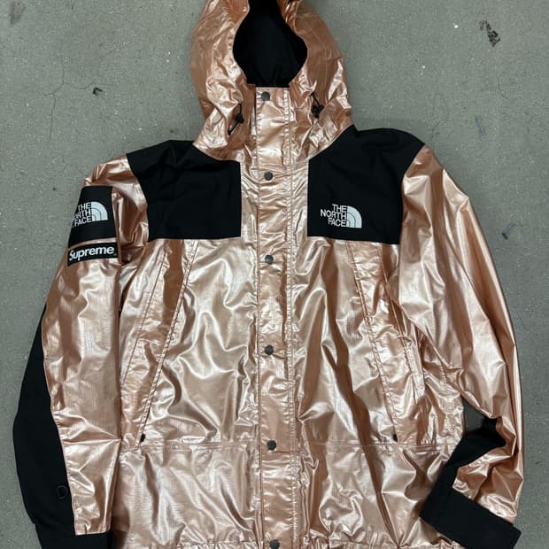 supreme x the north face mountain jacket