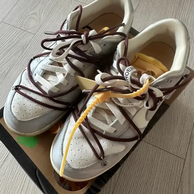[265] Nike x Off-White Dunk Low 46