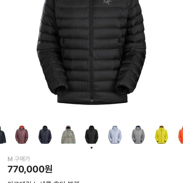 아크테릭스 세륨 후디 M