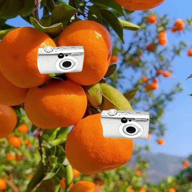 NCT&인물사진!) Canon IXUS 850 IS 디카 카메라