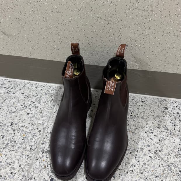 RM WILLIAMS Yearling Chestnut 8G 270