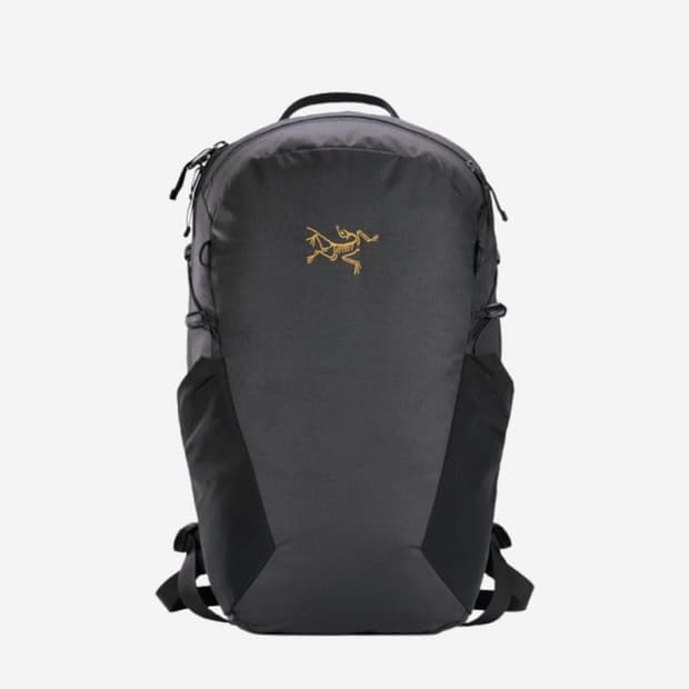 아크테릭스 멘티스16