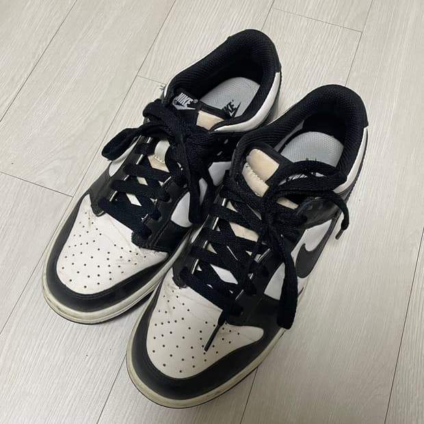 나이키 덩크 로우 범고래 240